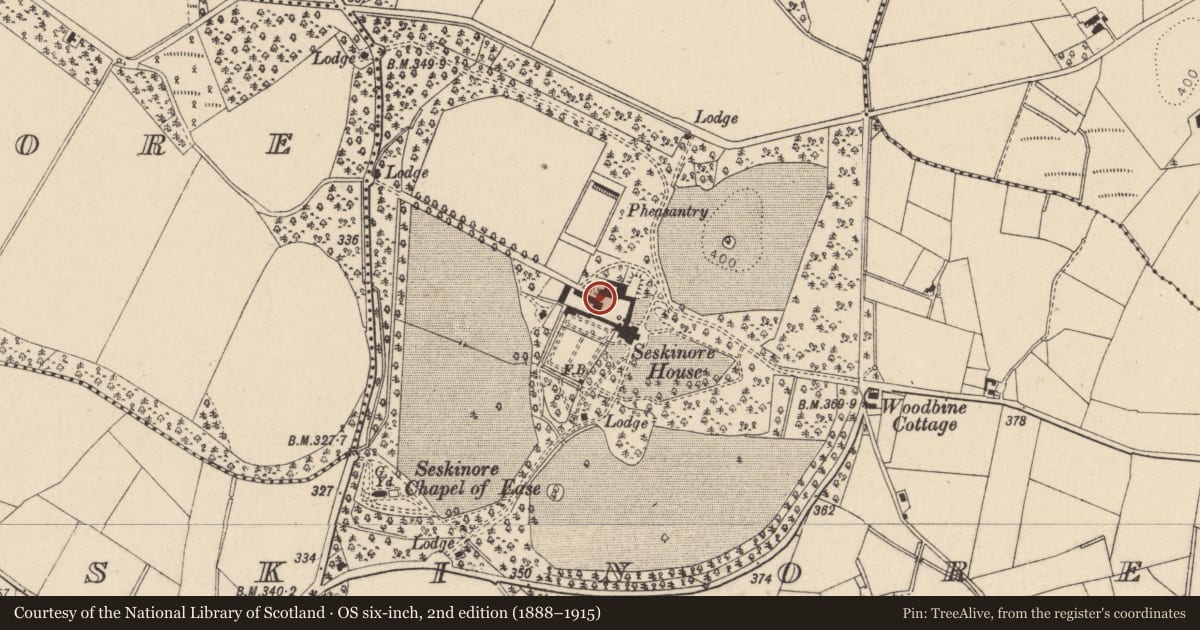 Ordnance Survey six-inch map, 2nd edition (1888–1915) covering the location of Farm Buildings, Seskinore, Fermanagh and Omagh, with a pin at the register's coordinates