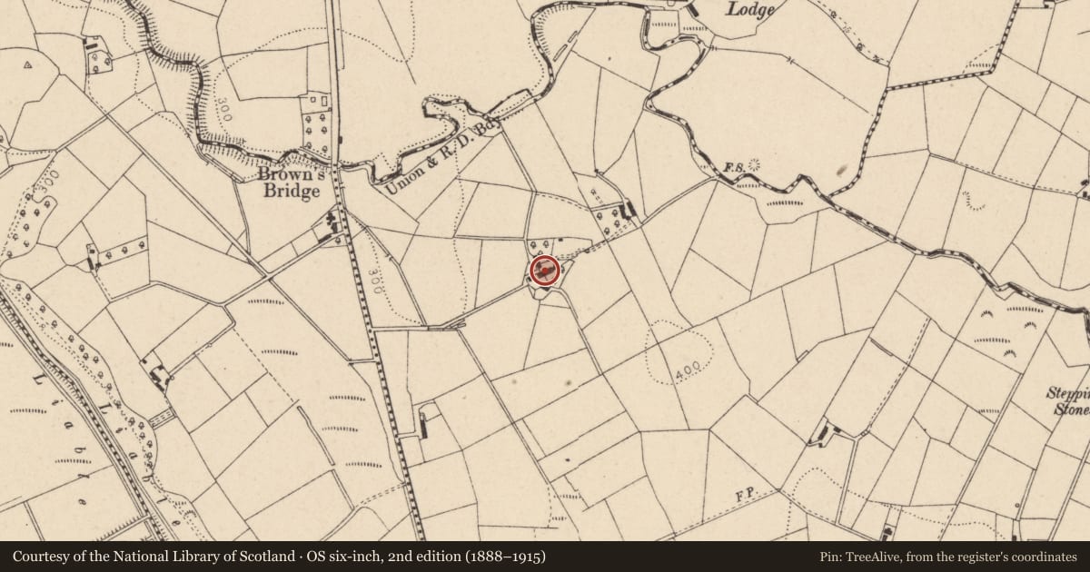 Ordnance Survey six-inch map, 2nd edition (1888–1915) covering the location of 112 Newtownsaville Road, Feraghandrum, Fermanagh and Omagh, with a pin at the register's coordinates