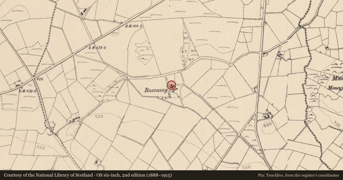 Ordnance Survey six-inch map, 2nd edition (1888–1915) covering the location of House & Outbuildings, Roscavey, Fermanagh and Omagh, with a pin at the register's coordinates