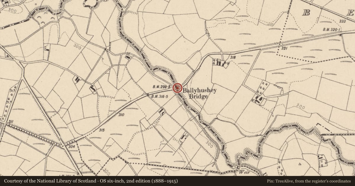 Ordnance Survey six-inch map, 2nd edition (1888–1915) covering the location of Ballyhushey Bridge, Garvallagh/Letfern, Fermanagh and Omagh, with a pin at the register's coordinates