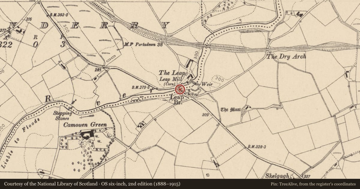 Ordnance Survey six-inch map, 2nd edition (1888–1915) covering the location of Bridge at the Leap, Donaghanie, Fermanagh and Omagh, with a pin at the register's coordinates