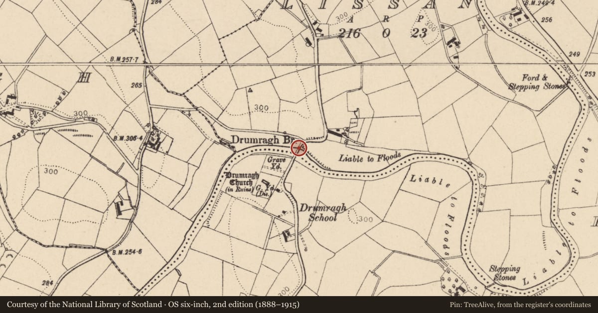 Ordnance Survey six-inch map, 2nd edition (1888–1915) covering the location of Drumragh Bridge, Drumragh/Lissan, Fermanagh and Omagh, with a pin at the register's coordinates