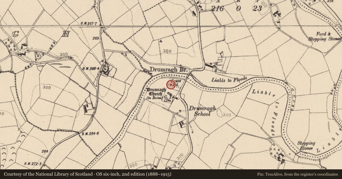 Ordnance Survey six-inch map, 2nd edition (1888–1915) covering the location of Milligan Cross, Drumragh, Fermanagh and Omagh, with a pin at the register's coordinates