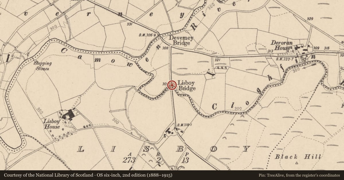 Ordnance Survey six-inch map, 2nd edition (1888–1915) covering the location of Lisboy Bridge, Deroran/Lisboy, Fermanagh and Omagh, with a pin at the register's coordinates
