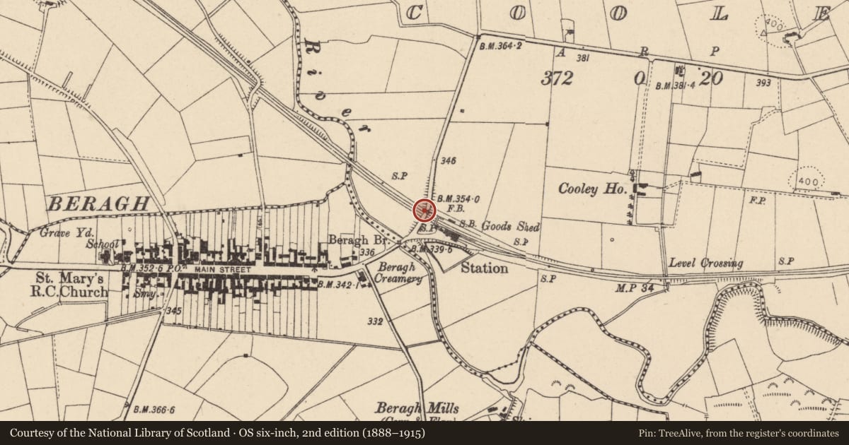 Ordnance Survey six-inch map, 2nd edition (1888–1915) covering the location of Road Bridge over Old Railway, Fermanagh and Omagh, with a pin at the register's coordinates