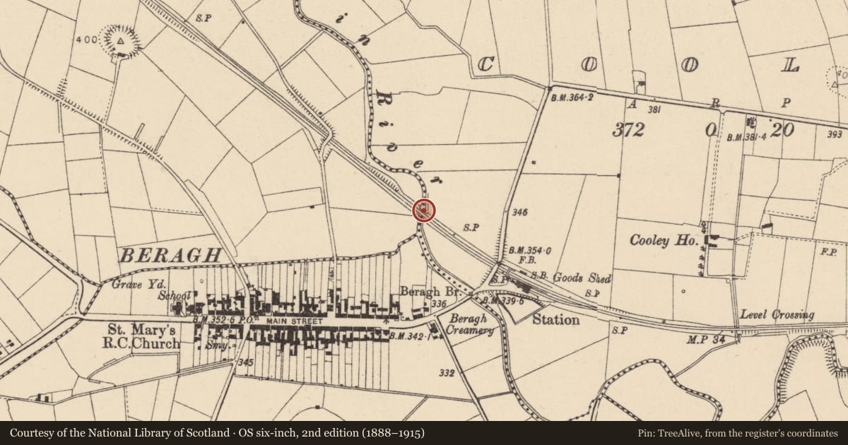 Ordnance Survey six-inch map, 2nd edition (1888–1915) covering the location of Railway Bridge, Fermanagh and Omagh, with a pin at the register's coordinates