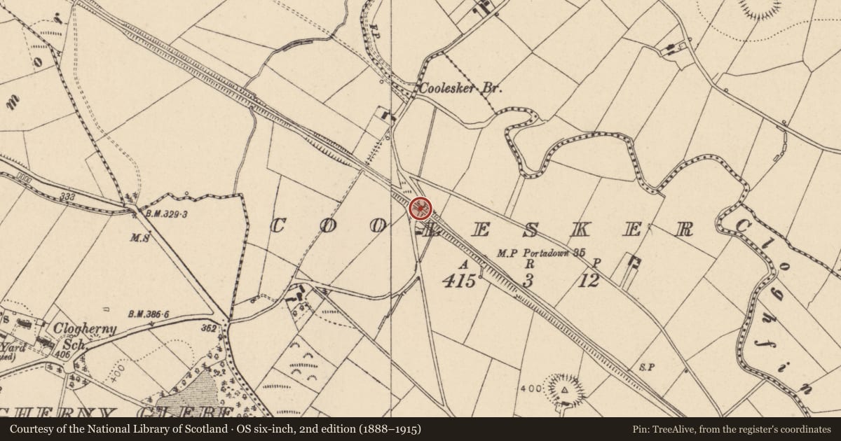 Ordnance Survey six-inch map, 2nd edition (1888–1915) covering the location of Bridge No 15, Fermanagh and Omagh, with a pin at the register's coordinates