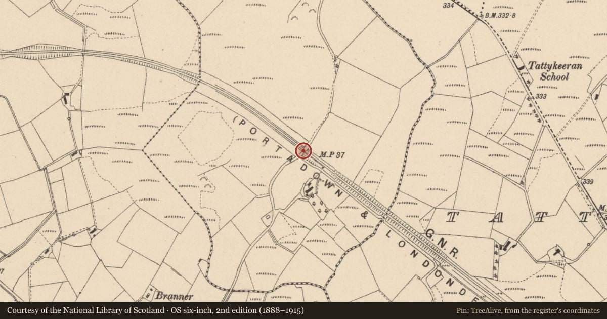 Ordnance Survey six-inch map, 2nd edition (1888–1915) covering the location of Bridge No. 16, Fermanagh and Omagh, with a pin at the register's coordinates