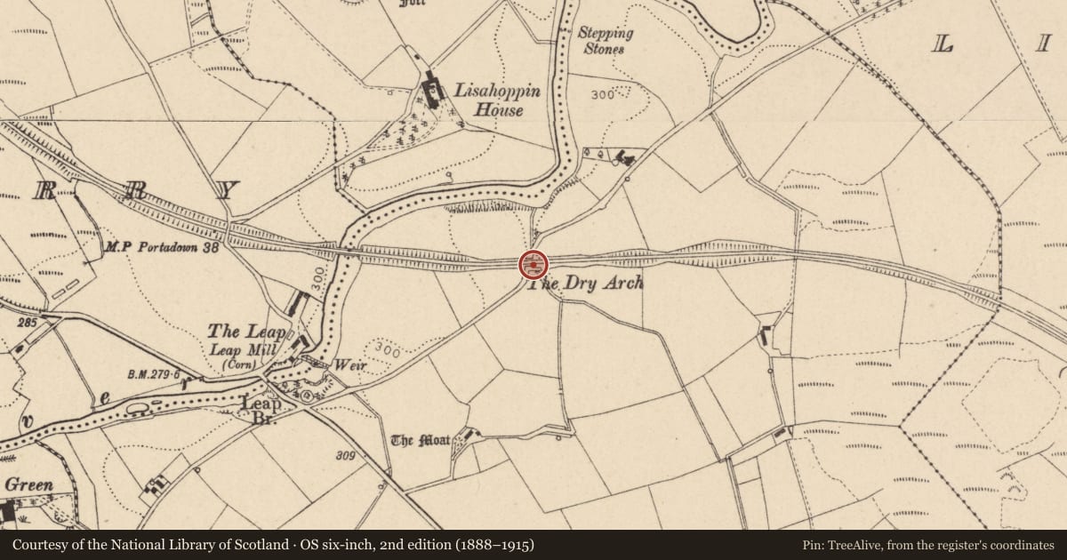 Ordnance Survey six-inch map, 2nd edition (1888–1915) covering the location of Dry Arch, Fermanagh and Omagh, with a pin at the register's coordinates