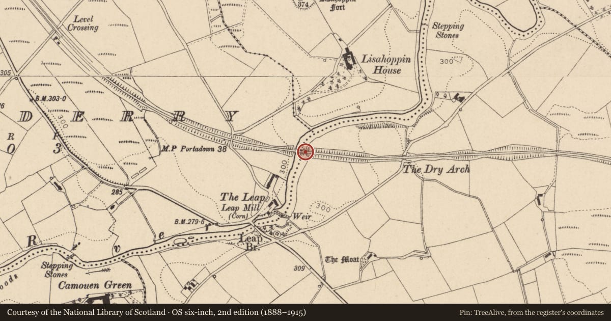 Ordnance Survey six-inch map, 2nd edition (1888–1915) covering the location of Bridge No18, East of Leap Lane, Railway Bridge, Omagh, Co Tyrone, Edenderry/Donaghanie, Fermanagh and Omagh, with a pin at the register's coordinates