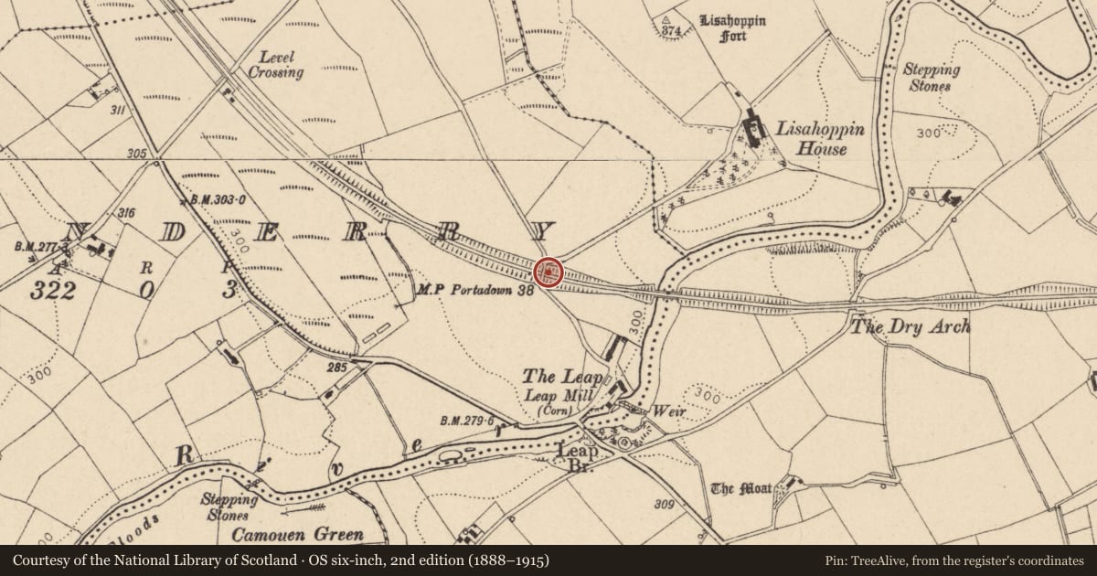 Ordnance Survey six-inch map, 2nd edition (1888–1915) covering the location of Bridge No19, Fermanagh and Omagh, with a pin at the register's coordinates