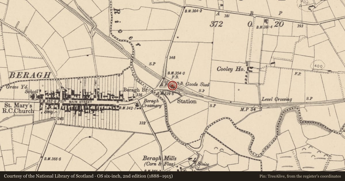 Ordnance Survey six-inch map, 2nd edition (1888–1915) covering the location of Beragh Rail Station, Fermanagh and Omagh, with a pin at the register's coordinates