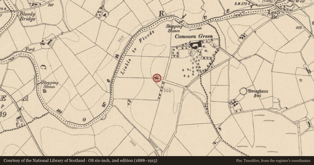 Ordnance Survey six-inch map, 2nd edition (1888–1915) covering the location of House nr Camowen Green, Fermanagh and Omagh, with a pin at the register's coordinates