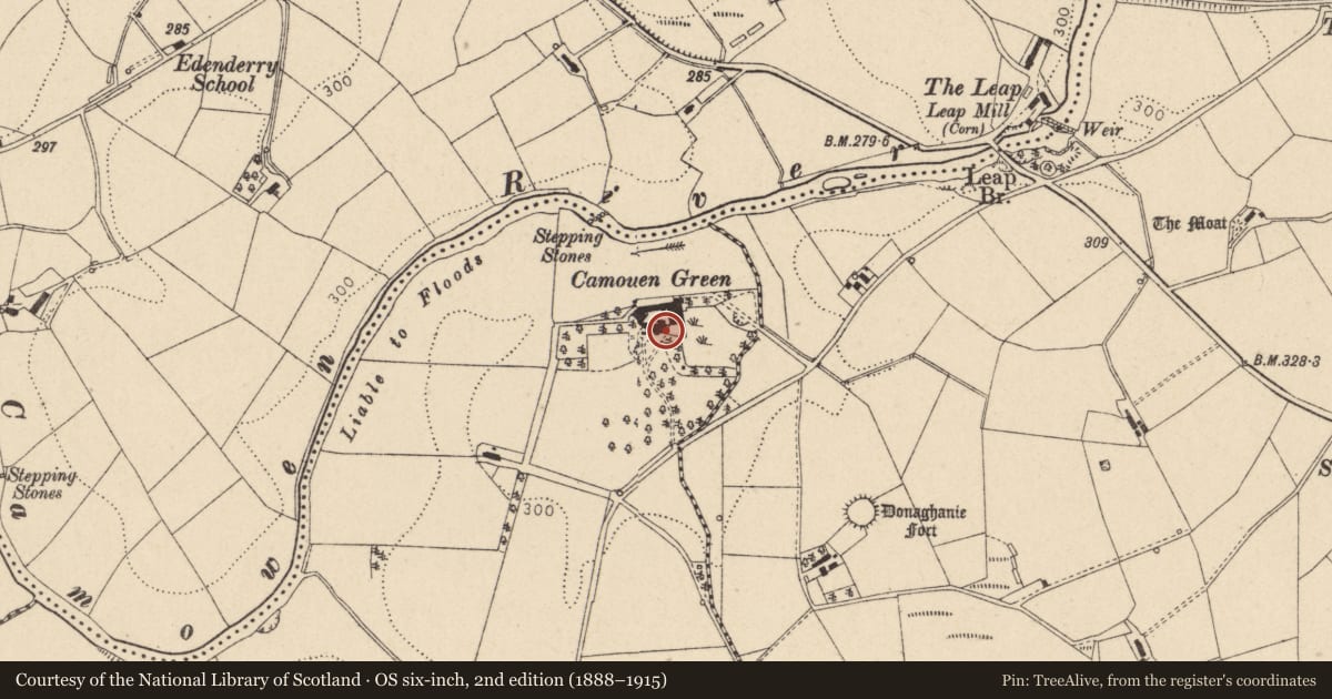 Ordnance Survey six-inch map, 2nd edition (1888–1915) covering the location of Camowen Green, Fermanagh and Omagh, with a pin at the register's coordinates