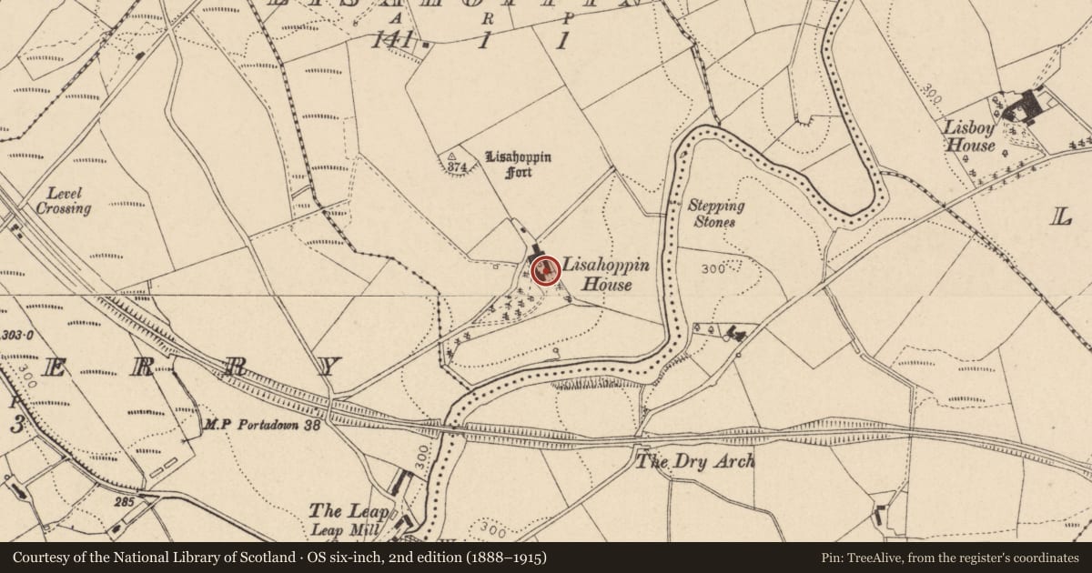 Ordnance Survey six-inch map, 2nd edition (1888–1915) covering the location of Lisahoppin House, Fermanagh and Omagh, with a pin at the register's coordinates