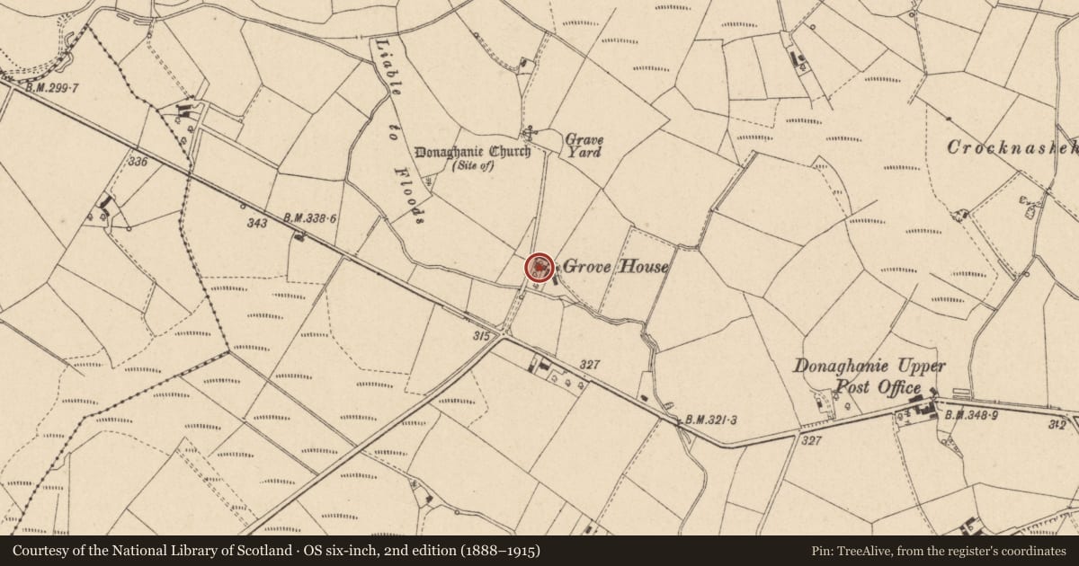 Ordnance Survey six-inch map, 2nd edition (1888–1915) covering the location of Grove House, Donaghanie, Fermanagh and Omagh, with a pin at the register's coordinates