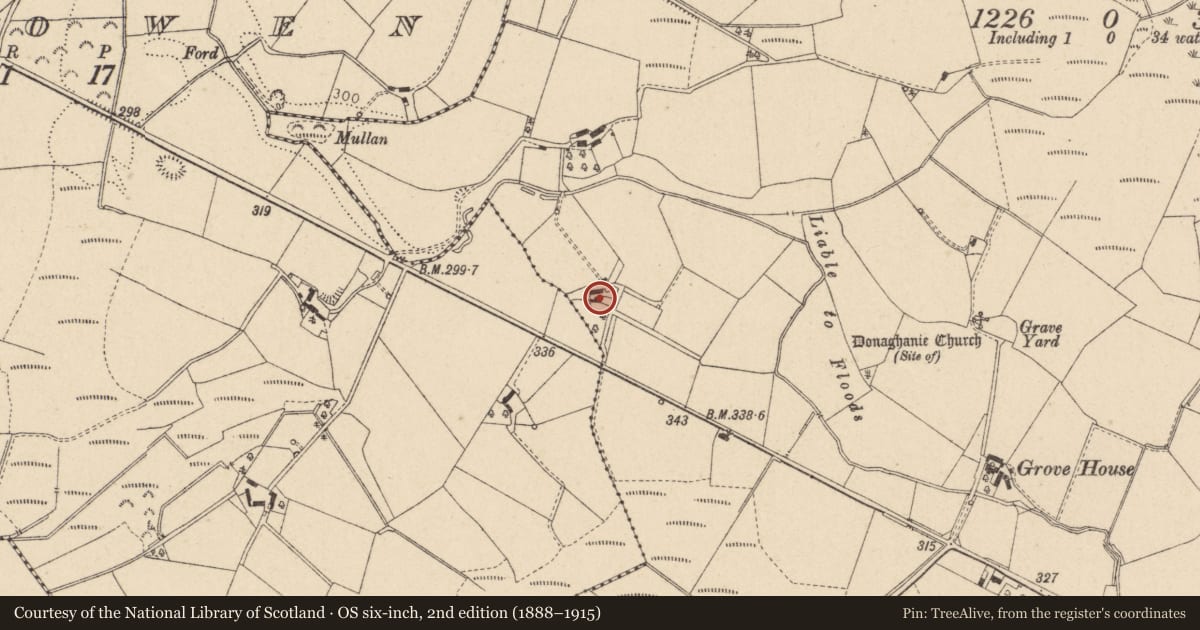 Ordnance Survey six-inch map, 2nd edition (1888–1915) covering the location of Crevenagh Road, Donaghanie, Fermanagh and Omagh, with a pin at the register's coordinates