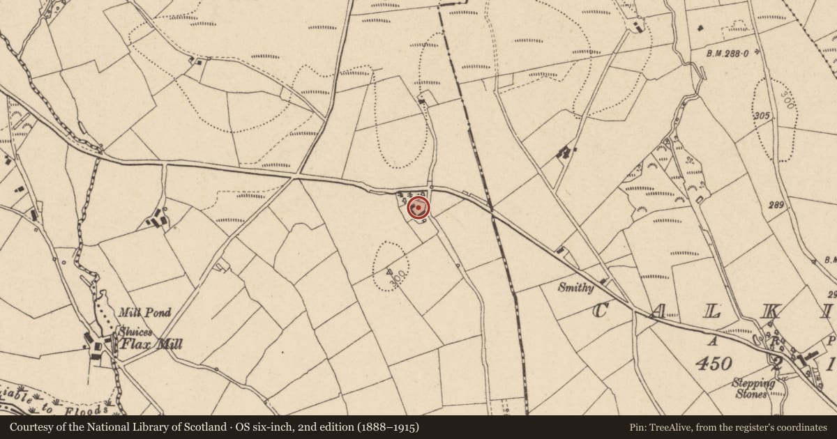 Ordnance Survey six-inch map, 2nd edition (1888–1915) covering the location of House, Fermanagh and Omagh, with a pin at the register's coordinates