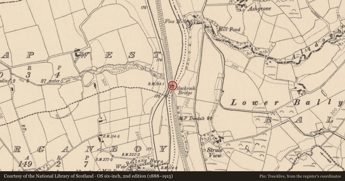 Ordnance Survey six-inch map, 2nd edition (1888–1915) covering the location of Blackrock Bridge, Lislap West, Fermanagh and Omagh, with a pin at the register's coordinates