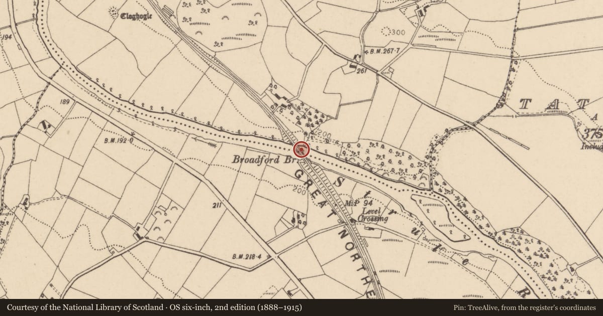 Ordnance Survey six-inch map, 2nd edition (1888–1915) covering the location of Broadford Bridge, Castletown/Carrigans, Fermanagh and Omagh, with a pin at the register's coordinates