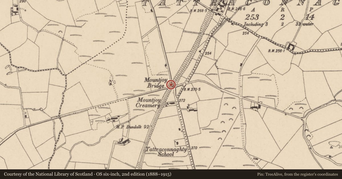 Ordnance Survey six-inch map, 2nd edition (1888–1915) covering the location of Mountjoy Bridge, Fermanagh and Omagh, with a pin at the register's coordinates