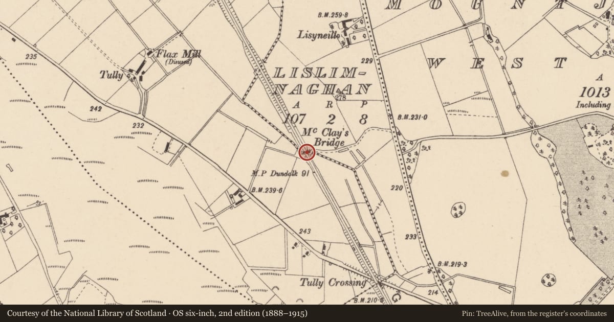 Ordnance Survey six-inch map, 2nd edition (1888–1915) covering the location of McClays Bridge, Lislimnaghan Tully, Fermanagh and Omagh, with a pin at the register's coordinates