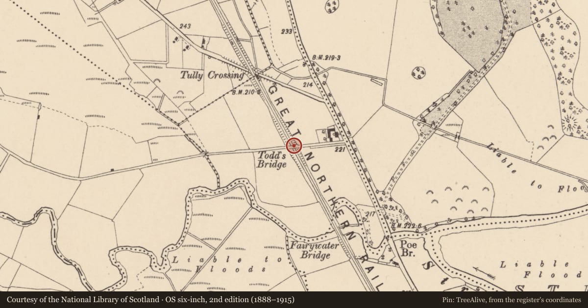 Ordnance Survey six-inch map, 2nd edition (1888–1915) covering the location of Todd's Bridge, Lislimnaghan/Tully, Fermanagh and Omagh, with a pin at the register's coordinates