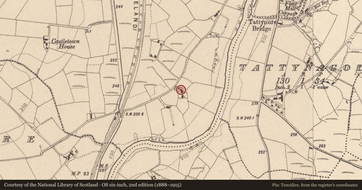 Ordnance Survey six-inch map, 2nd edition (1888–1915) covering the location of 7 Mellon Road, Castletown, Fermanagh and Omagh, with a pin at the register's coordinates