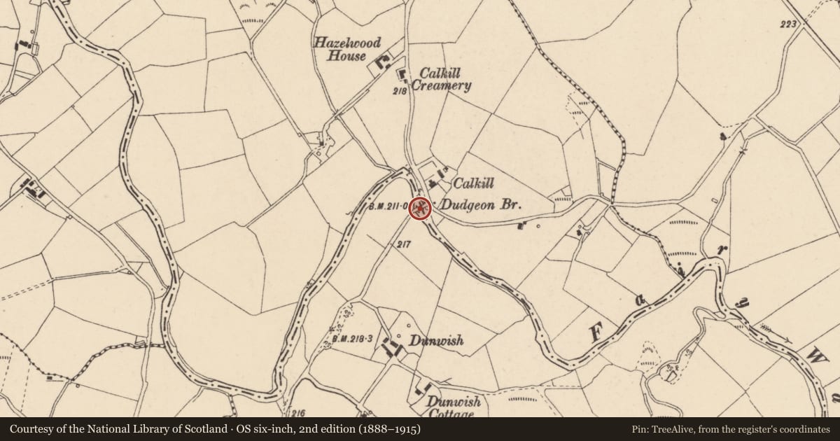 Ordnance Survey six-inch map, 2nd edition (1888–1915) covering the location of Dudgeon Bridge, Dunwish/Calkill, Fermanagh and Omagh, with a pin at the register's coordinates