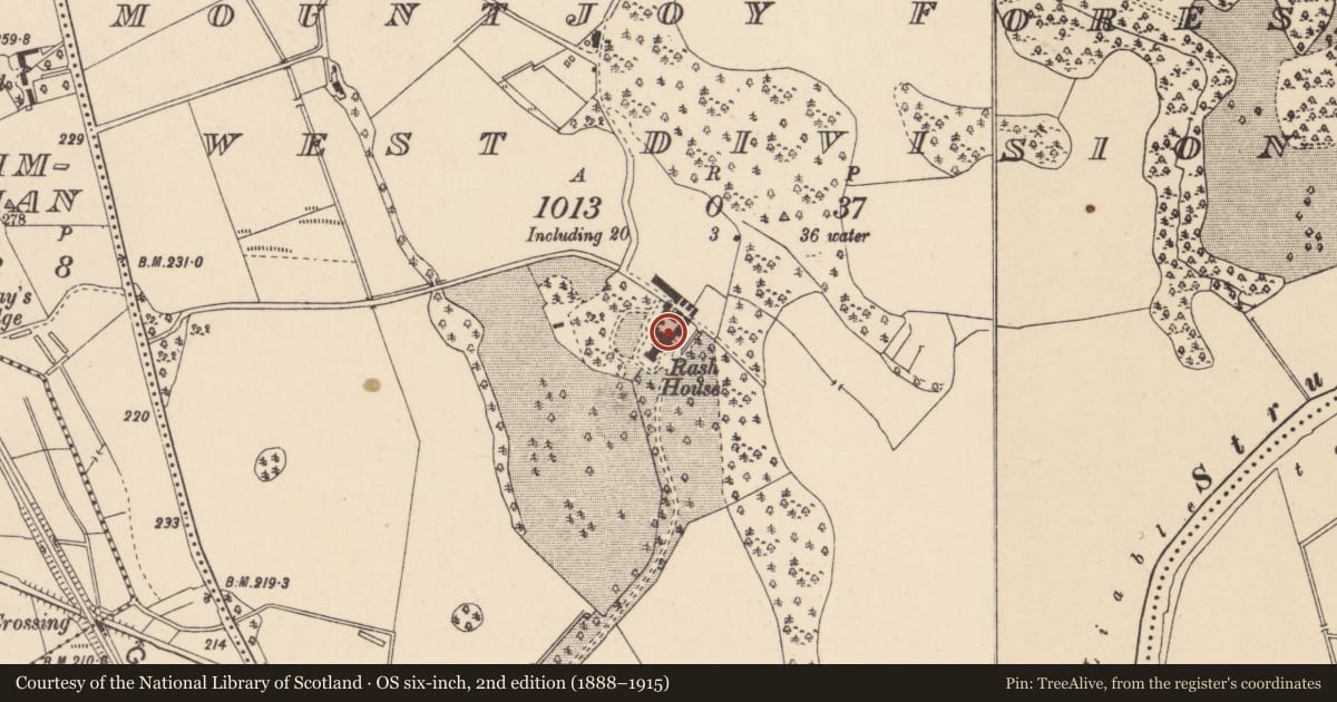 Ordnance Survey six-inch map, 2nd edition (1888–1915) covering the location of Rash House, Mountjoy Forest West Division, Fermanagh and Omagh, with a pin at the register's coordinates