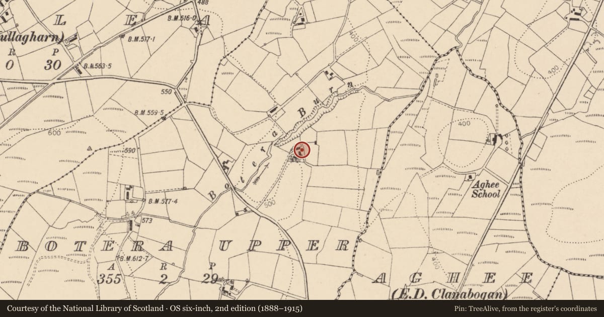 Ordnance Survey six-inch map, 2nd edition (1888–1915) covering the location of House, Botera Upper, Fermanagh and Omagh, with a pin at the register's coordinates