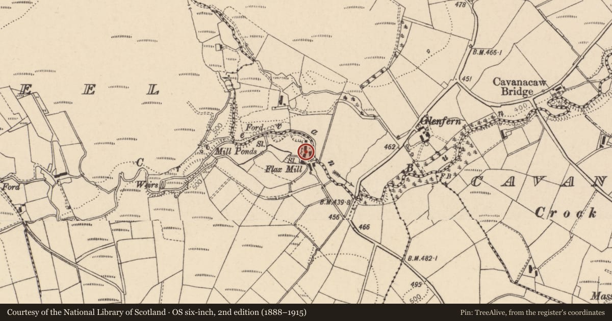 Ordnance Survey six-inch map, 2nd edition (1888–1915) covering the location of Store, Tattykeel (Rogers), Fermanagh and Omagh, with a pin at the register's coordinates
