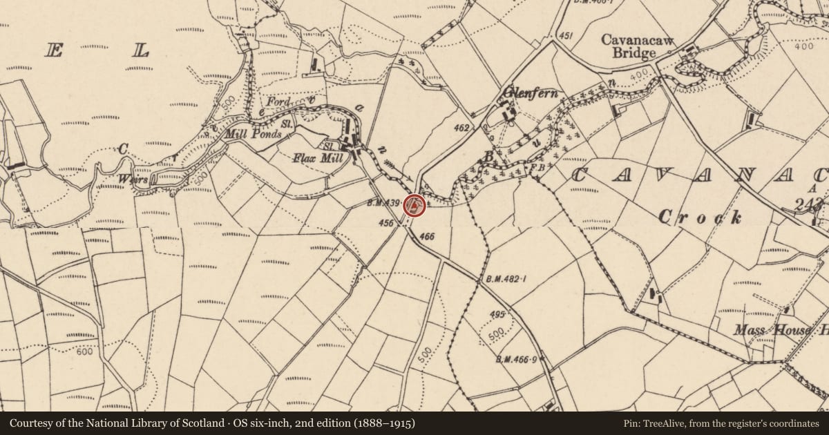 Ordnance Survey six-inch map, 2nd edition (1888–1915) covering the location of Lime Kiln, Botera Upper Road, Omagh, Co Tyrone BT78 5LH, Tattykeel (Rogers), Fermanagh and Omagh, with a pin at the register's coordinates