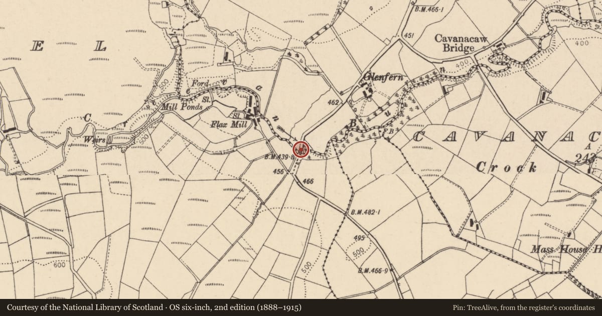 Ordnance Survey six-inch map, 2nd edition (1888–1915) covering the location of Bridge over Creevan Burn, Cavanacaw Upper/Tattykeel (Rogers), Fermanagh and Omagh, with a pin at the register's coordinates