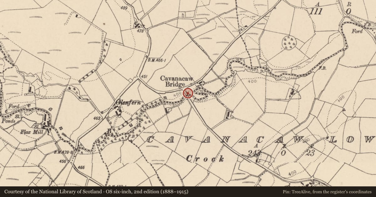 Ordnance Survey six-inch map, 2nd edition (1888–1915) covering the location of Cavanacaw Bridge, Cavanacaw Upper/Cavanacaw Lower, Fermanagh and Omagh, with a pin at the register's coordinates