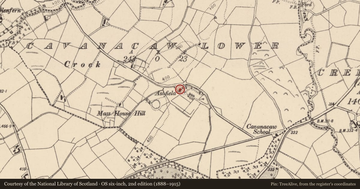 Ordnance Survey six-inch map, 2nd edition (1888–1915) covering the location of Ashfield, Cavanacaw Lower, Fermanagh and Omagh, with a pin at the register's coordinates