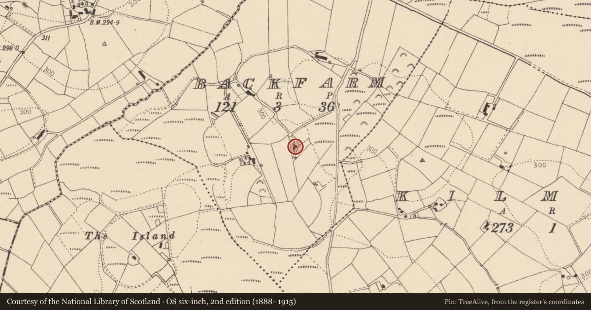 Ordnance Survey six-inch map, 2nd edition (1888–1915) covering the location of 24 Backfarm Road, Fermanagh and Omagh, with a pin at the register's coordinates