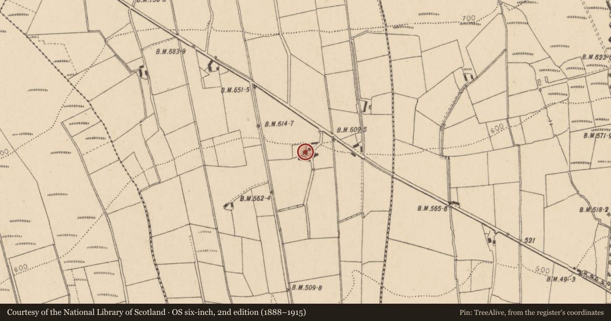 Ordnance Survey six-inch map, 2nd edition (1888–1915) covering the location of Outbuildings of 52 Cashty Road, Glasmullagh, Fermanagh and Omagh, with a pin at the register's coordinates