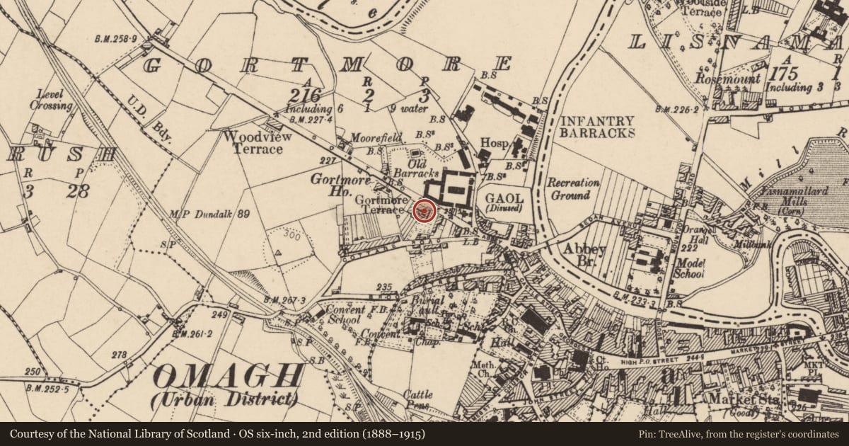 Ordnance Survey six-inch map, 2nd edition (1888–1915) covering the location of No 8 Gortmore Terrace, Fermanagh and Omagh, with a pin at the register's coordinates