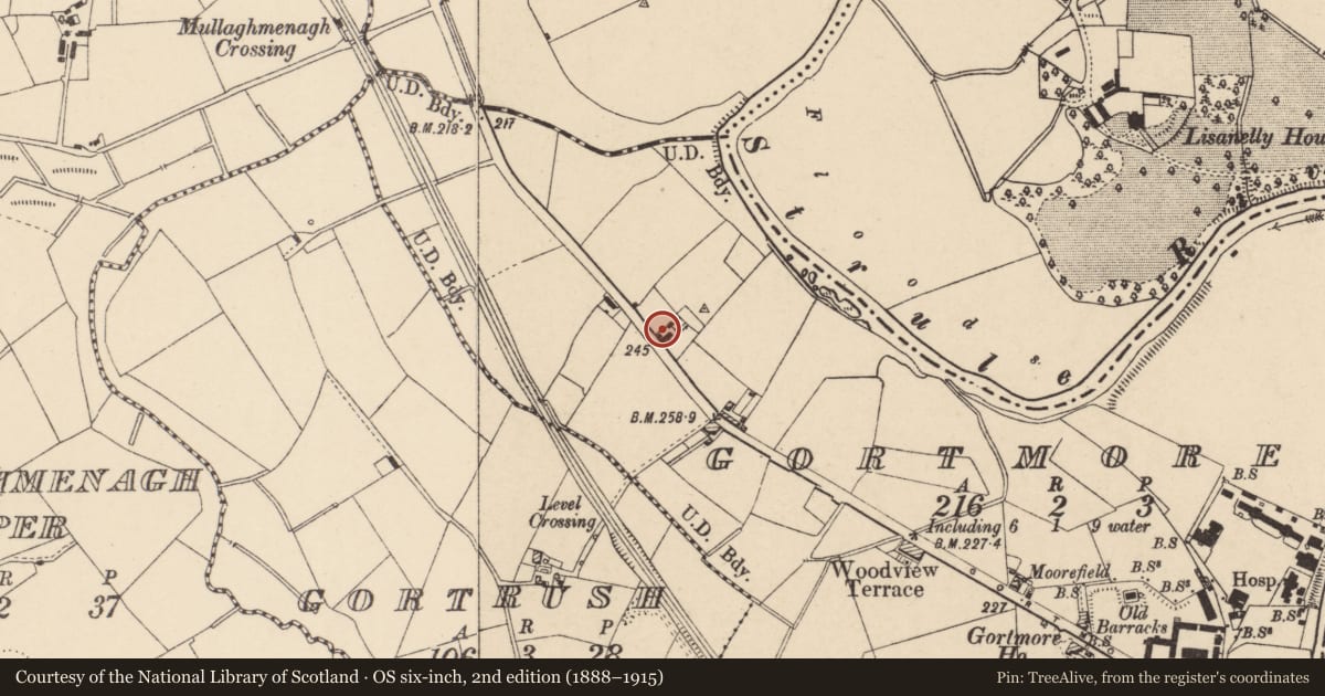 Ordnance Survey six-inch map, 2nd edition (1888–1915) covering the location of No 39 Derry Road, Fermanagh and Omagh, with a pin at the register's coordinates