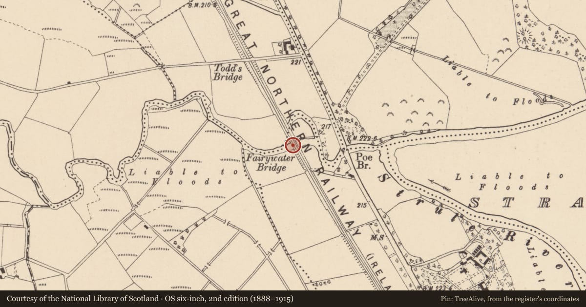 Ordnance Survey six-inch map, 2nd edition (1888–1915) covering the location of Fairywater Bridge, Fermanagh and Omagh, with a pin at the register's coordinates