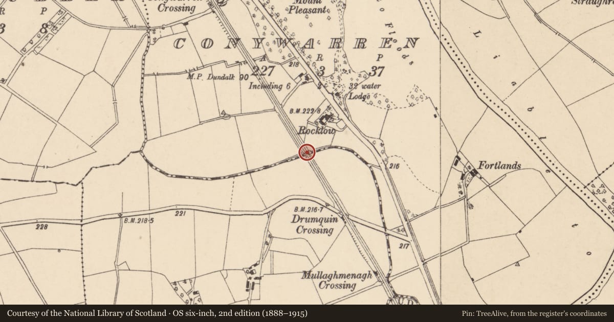 Ordnance Survey six-inch map, 2nd edition (1888–1915) covering the location of Bridge No 12, Conywarren, Fermanagh and Omagh, with a pin at the register's coordinates