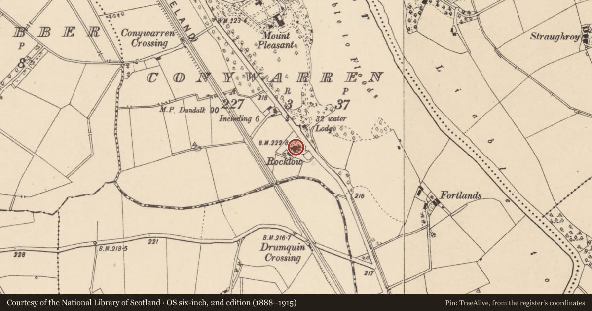 Ordnance Survey six-inch map, 2nd edition (1888–1915) covering the location of Rocklow, Conywarren, Fermanagh and Omagh, with a pin at the register's coordinates