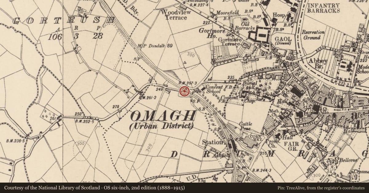 Ordnance Survey six-inch map, 2nd edition (1888–1915) covering the location of Bridge No 13, Fermanagh and Omagh, with a pin at the register's coordinates