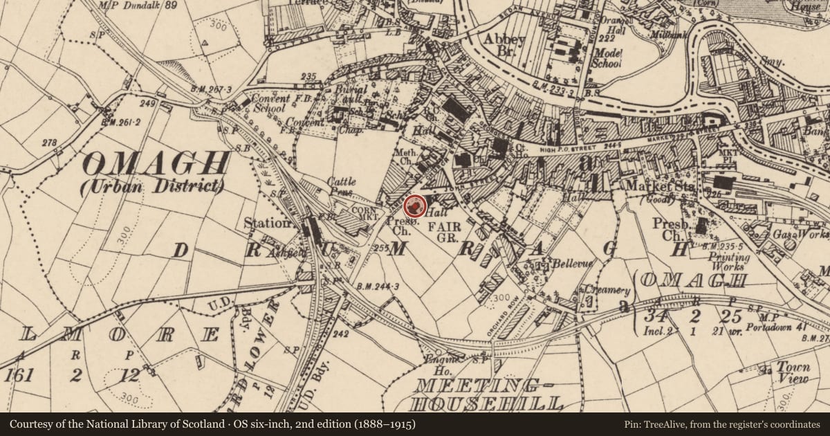 Ordnance Survey six-inch map, 2nd edition (1888–1915) covering the location of Trinity Presbyterian Church, Gallows Hill, Fermanagh and Omagh, with a pin at the register's coordinates