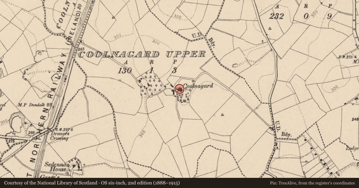 Ordnance Survey six-inch map, 2nd edition (1888–1915) covering the location of Coolnagard House, Fermanagh and Omagh, with a pin at the register's coordinates