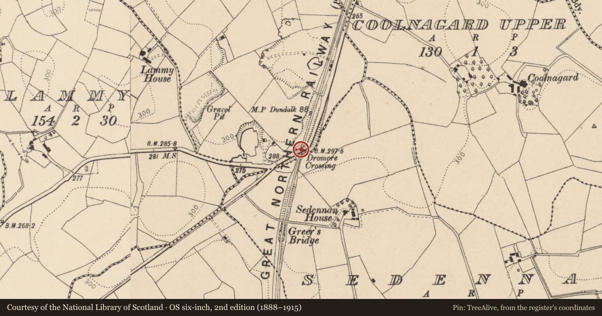 Ordnance Survey six-inch map, 2nd edition (1888–1915) covering the location of Dromore Crossing, Culmore/Sedennan, Fermanagh and Omagh, with a pin at the register's coordinates