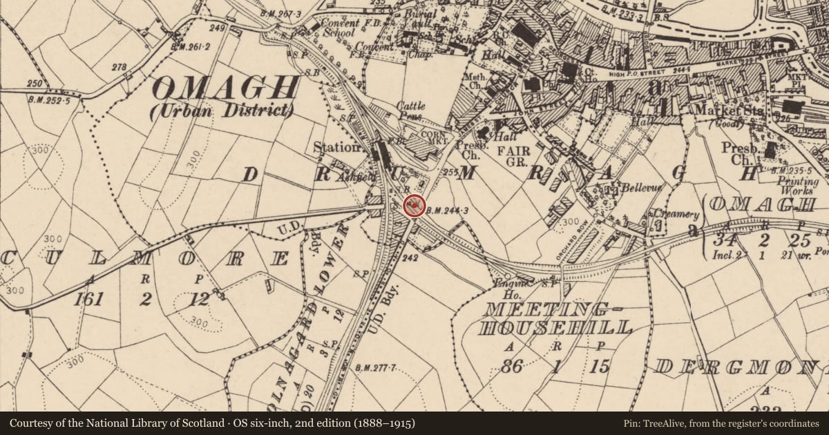 Ordnance Survey six-inch map, 2nd edition (1888–1915) covering the location of Bridge No 29, Fermanagh and Omagh, with a pin at the register's coordinates