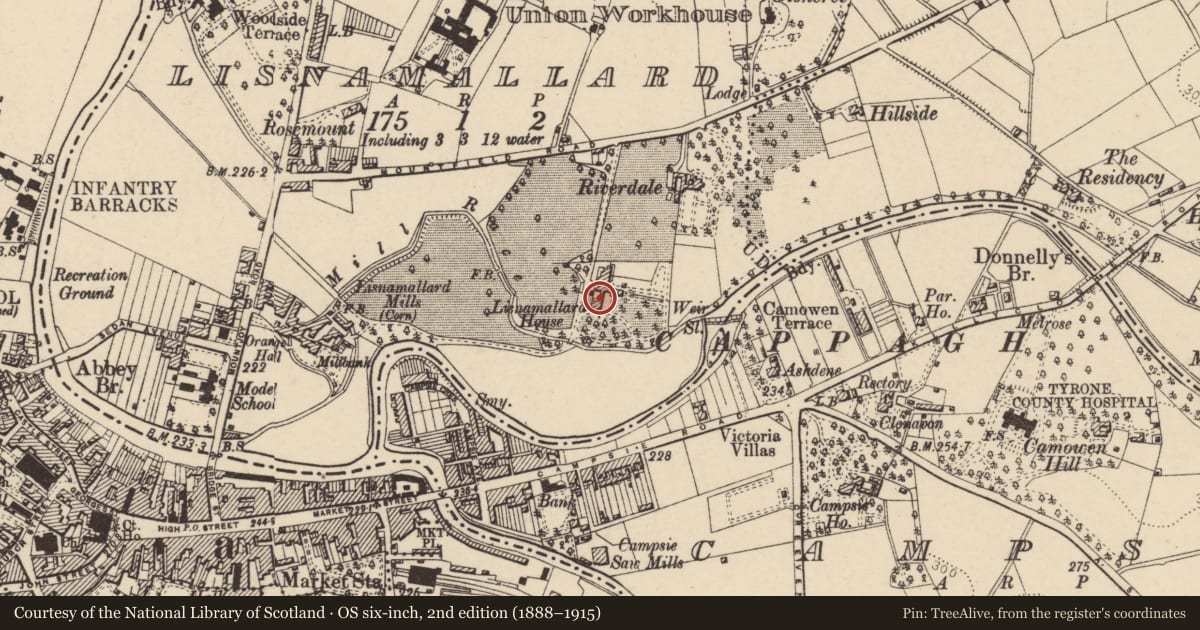 Ordnance Survey six-inch map, 2nd edition (1888–1915) covering the location of Lisnamallard House, Fermanagh and Omagh, with a pin at the register's coordinates