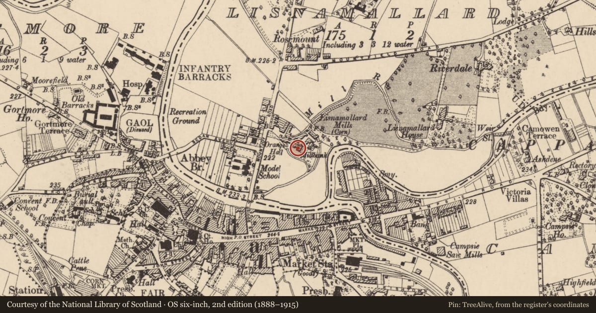 Ordnance Survey six-inch map, 2nd edition (1888–1915) covering the location of Millbank, Fermanagh and Omagh, with a pin at the register's coordinates